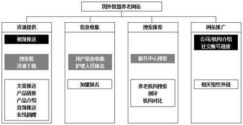 学术 望远 基于国内外比较的智慧养老网站功能优化设计