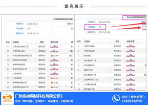 网站优化公司 广东网站优化 推神网络 查看